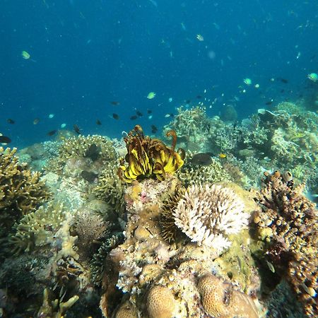 Renata Cottages Ohoililir Luaran gambar